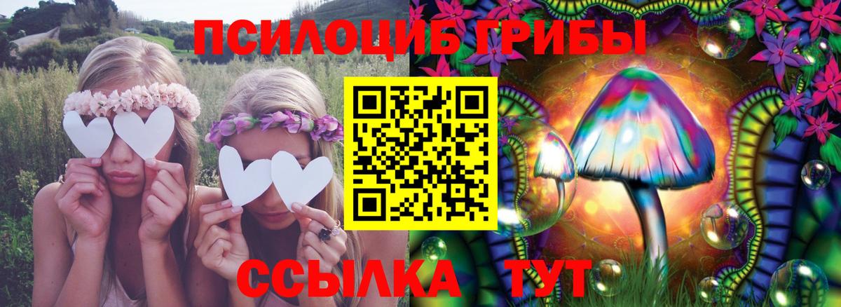 Галлюциногенные грибы ЛСД  Вход с VPN  Псилоцибиновые грибы Magic Shrooms  Славгород 