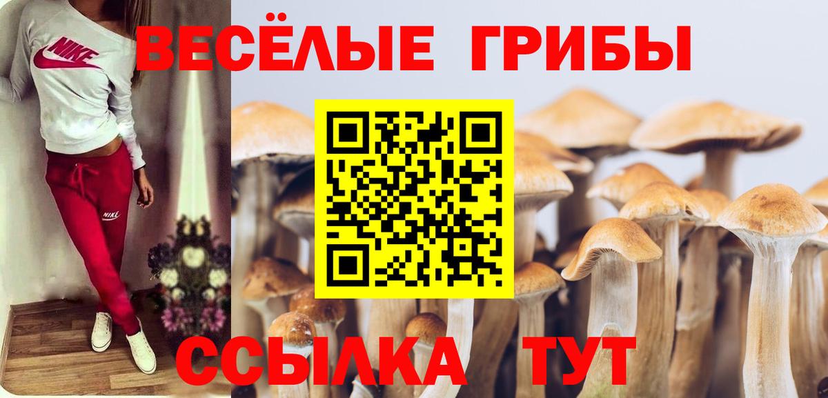 Галлюциногенные грибы мицелий Славгород